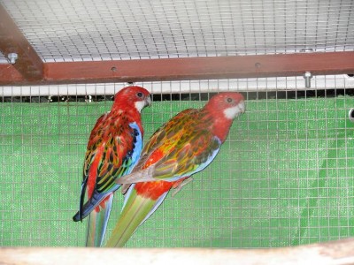 נובמבר 020.jpg