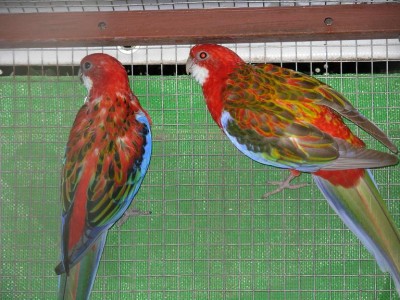 נובמבר 021.jpg