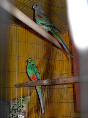 נובמבר 031.jpg