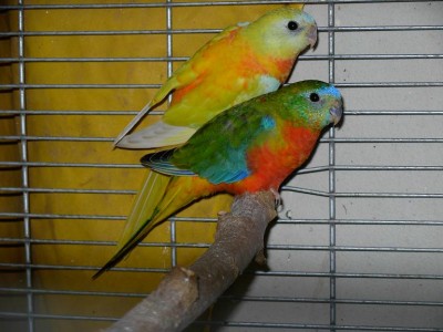 נובמבר 040.jpg