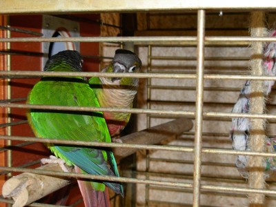 נובמבר 052.jpg