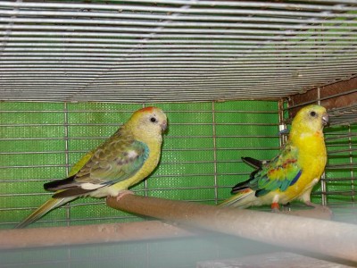 נובמבר 057.jpg