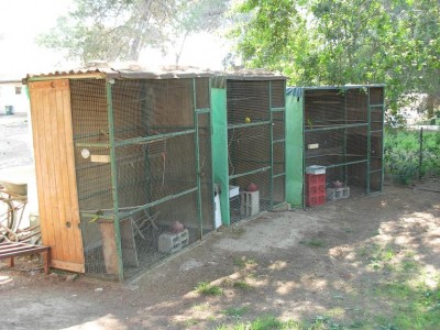 נובמבר 062.jpg