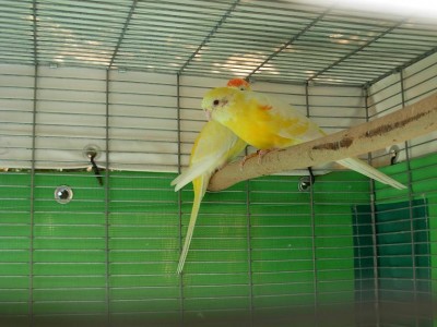 נובמבר 067.jpg