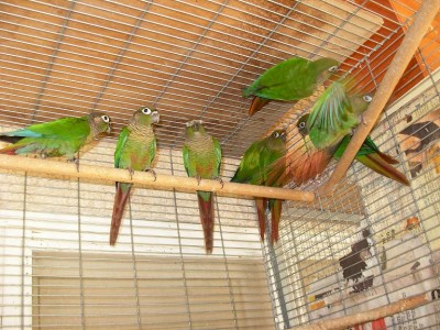 צ'קים 08 020.jpg