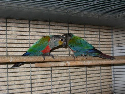 צ'קים 08 025.jpg