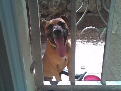 בפוזה מפחידה.jpg