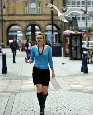 לאור היום1.jpg