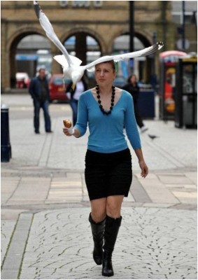 לאור היום2.jpg