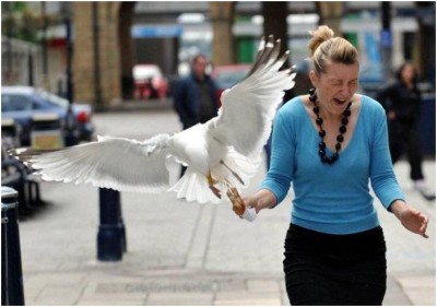 לאור היום3.jpg