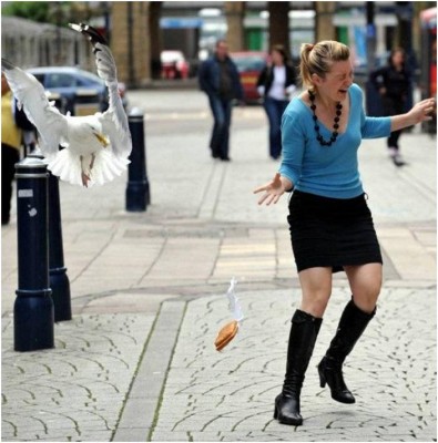 לאור היום4.jpg