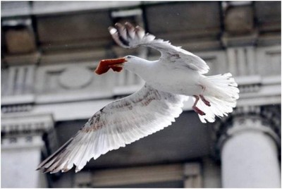 לאור היום5.jpg