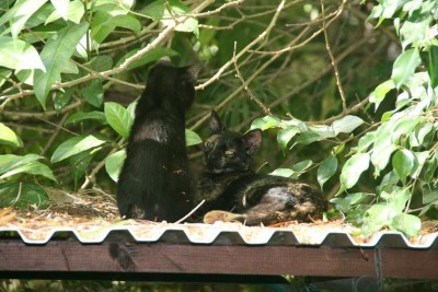 מה כבר בוקר? אז מה עושים עכשיו??