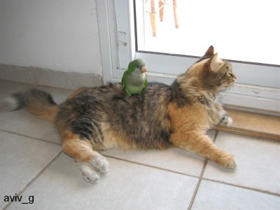 pic 1334 (Large).jpg