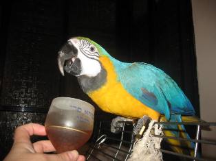 IMG_0278.JPG