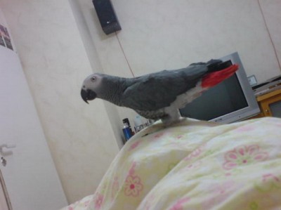DSC05604_resize_resize.JPG