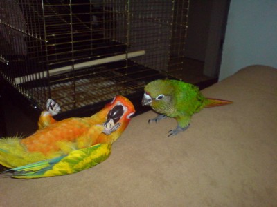 DSC00008_resize.JPG