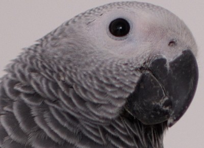 CustomName007 (2).jpg