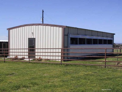 גידול האפריקאי2.jpg