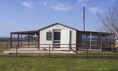 הגידול לארות מהחזית9.jpg