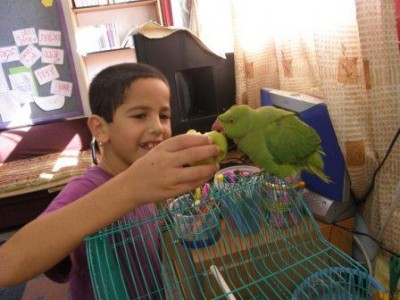 במיוחד אלה שמאכילים אותי כמו גדולה!