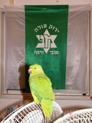 מה יש להוסיף?! תמונה שווה יותר מאלף מילים!