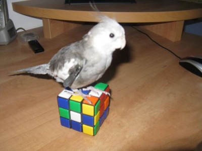 normal_%D7%AA%D7%9E%D7%95%D7%A0%D7%94_184.jpg