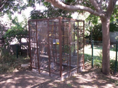 הכלוב של התוקונים - בנינו לבד מפרגולה שהתפרקה