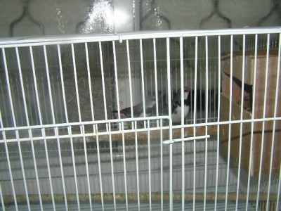 PC220043.JPG