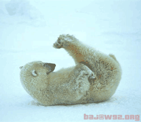 030708_155730-2050_66666566.gif