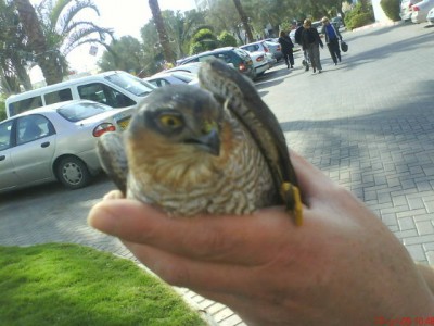 אני מחזיק את החמוד הזה ולא מקבל ביס !!!