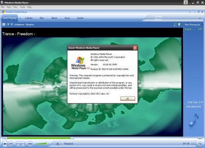 windows.JPG