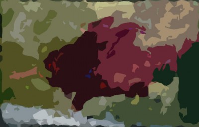 1.JPG