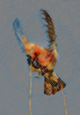 3.JPG