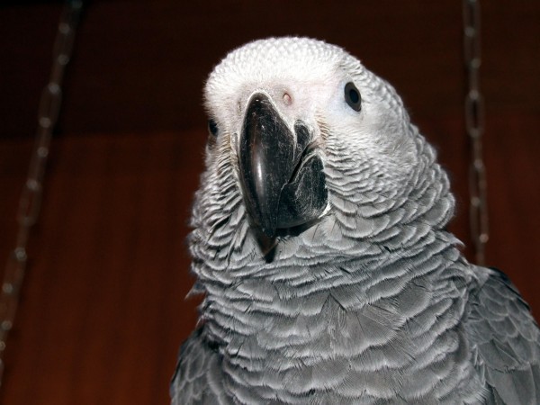 DSCF3152.jpg