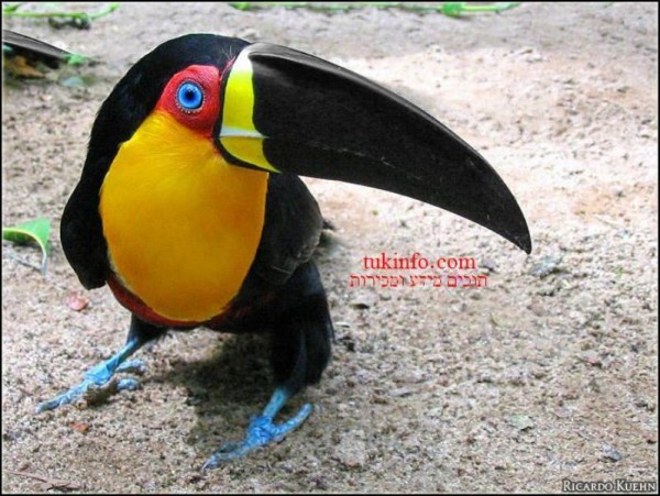9.JPG