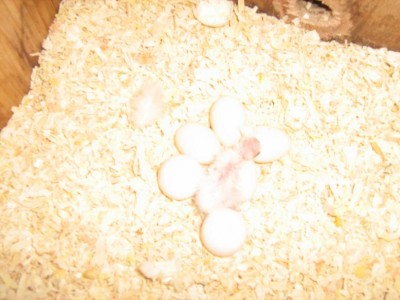 IMG_0625_zip.JPG