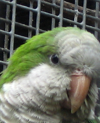 1397338230_7fdc31fb5e.jpg