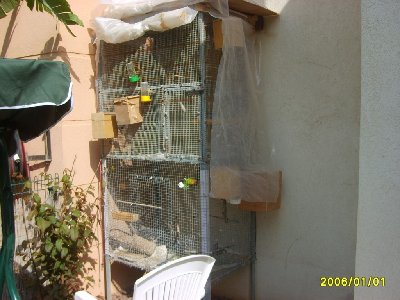 הכלוב החיצוני(של התוכונים הדררות והפרסונטות