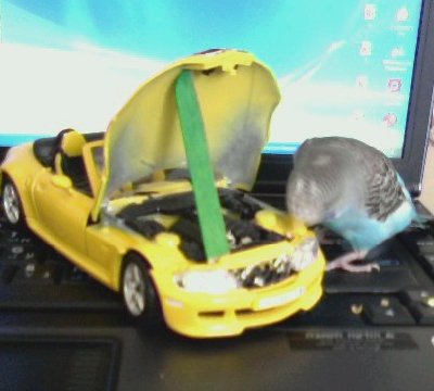 0421091358_0001.jpg (37.23 KiB) נצפה 3629 פעמים עוד תמונה של קוקו...