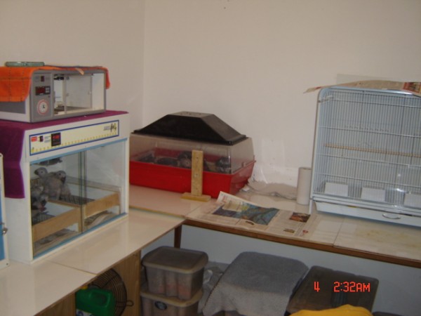 Picture 748.jpg