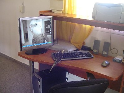 005.jpg