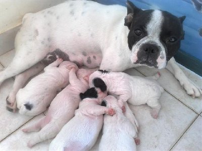 02062009632-001 (Small).jpg