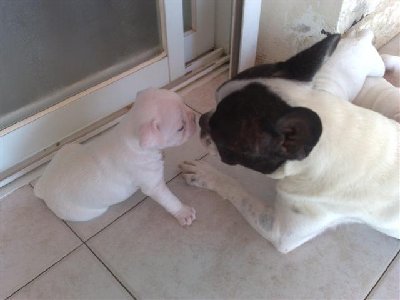 19062009691 (Small).jpg