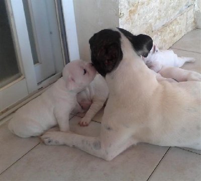 19062009692-001 (Small).jpg