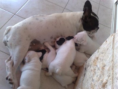 19062009690 (Small).jpg