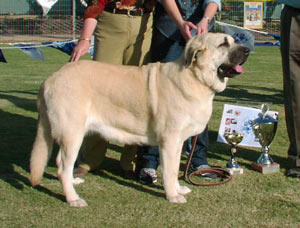 למה שיהיה רשום לכם איך קוראים לו חחחח.jpg