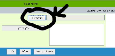 תמונה.jpg