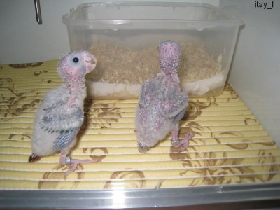 13.jpg