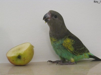 18.jpg